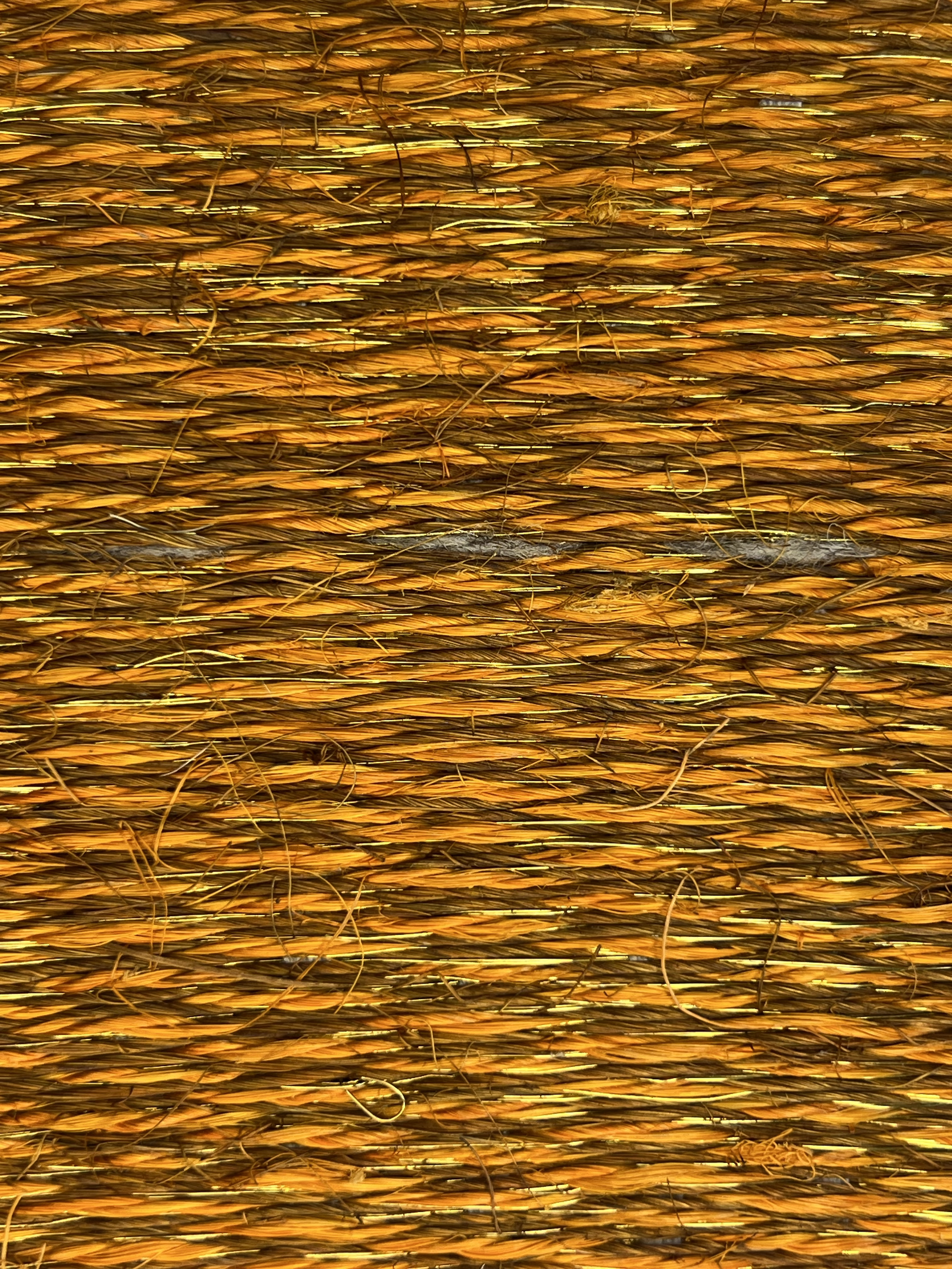 Bright Copper-orange and Olive Weave Area Rug