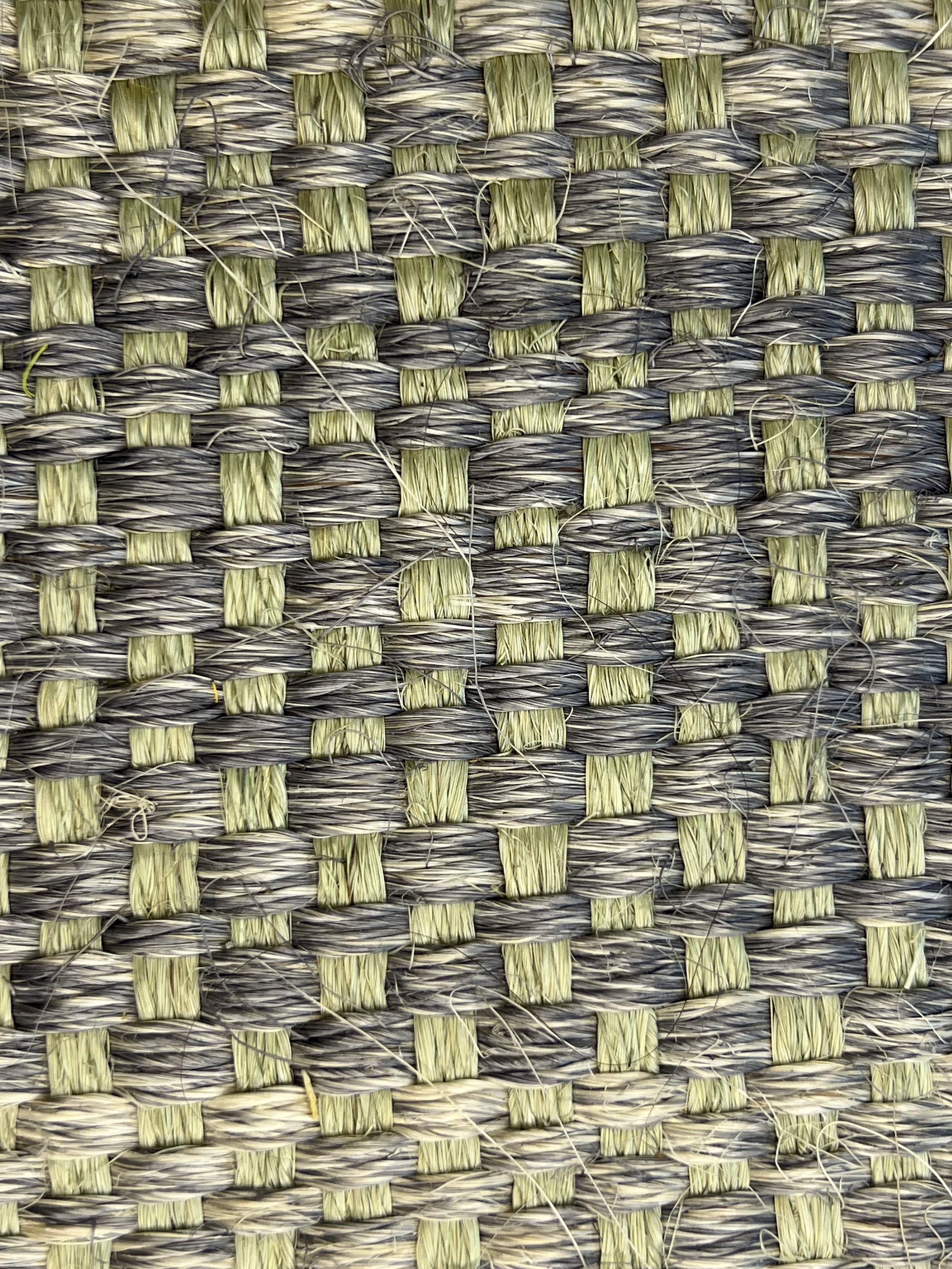 Spine