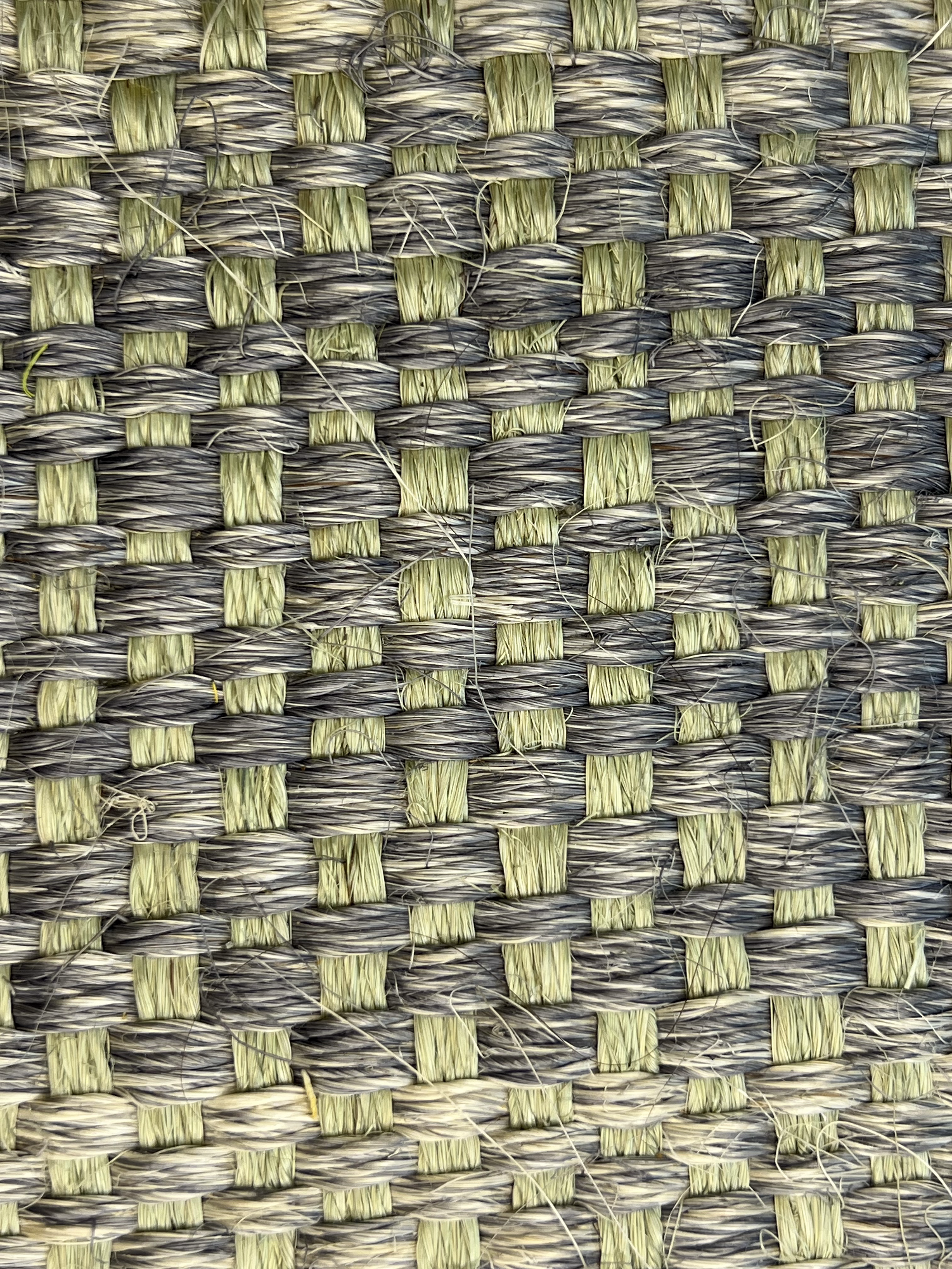 Blue and Tan Diagonal Herringbone Weave Area Rug